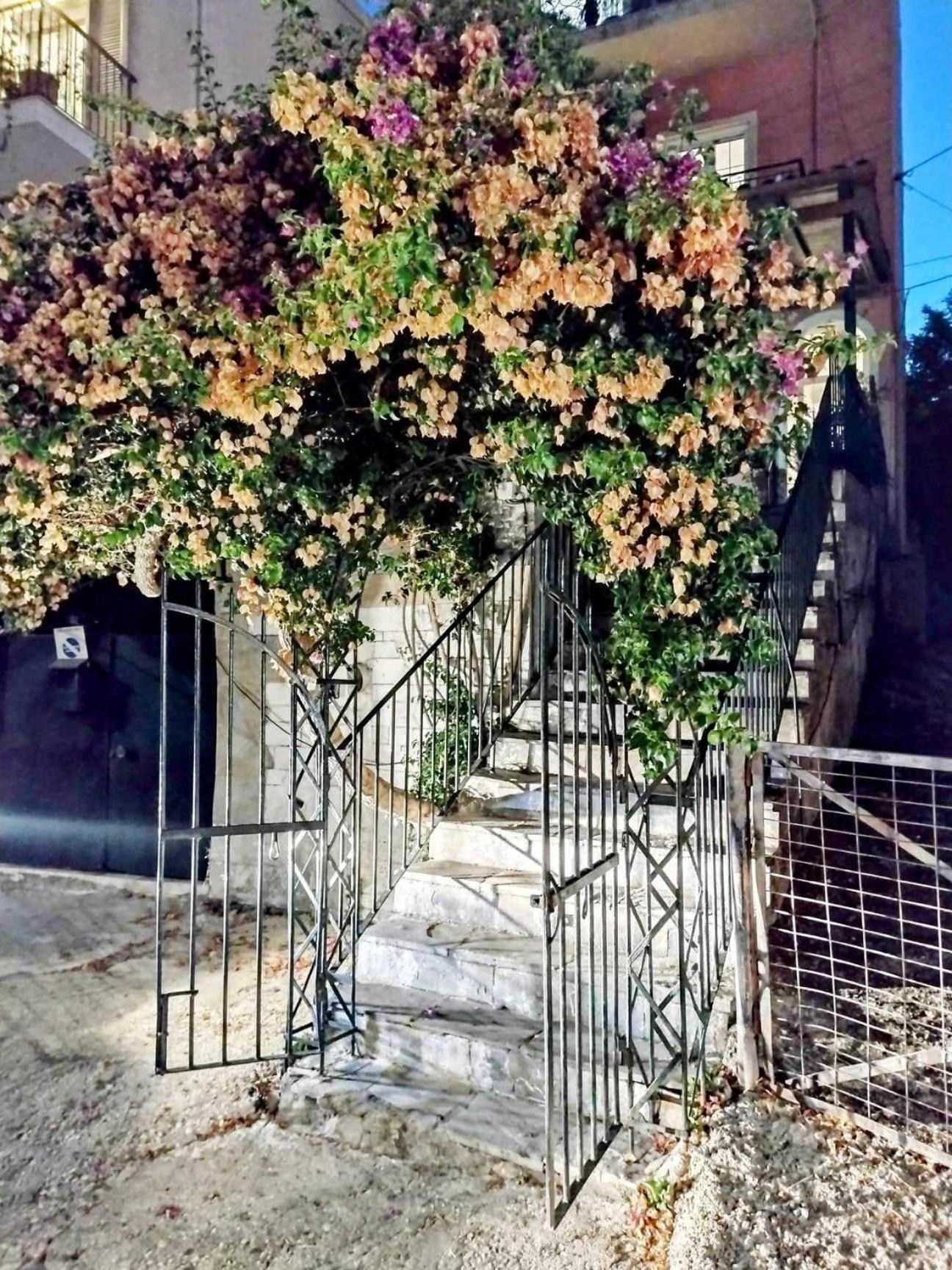 Corfu Pelekas Apartment 2 Zewnętrze zdjęcie